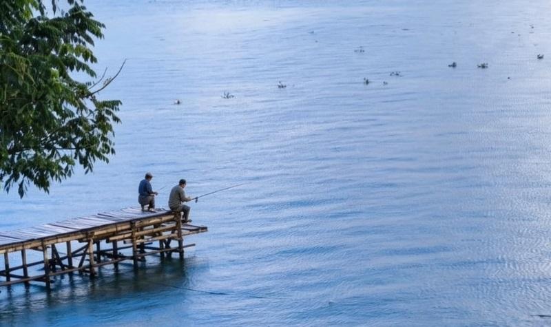 Invasi Ikan Sapu-sapu di Danau Tondano, Nelayan Mulai Mulai Was-was