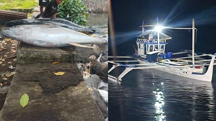 Warga Keluhkan Pasokan Tuna Menipis di Sangihe, Diduga Dampak Pengiriman ke Filipina