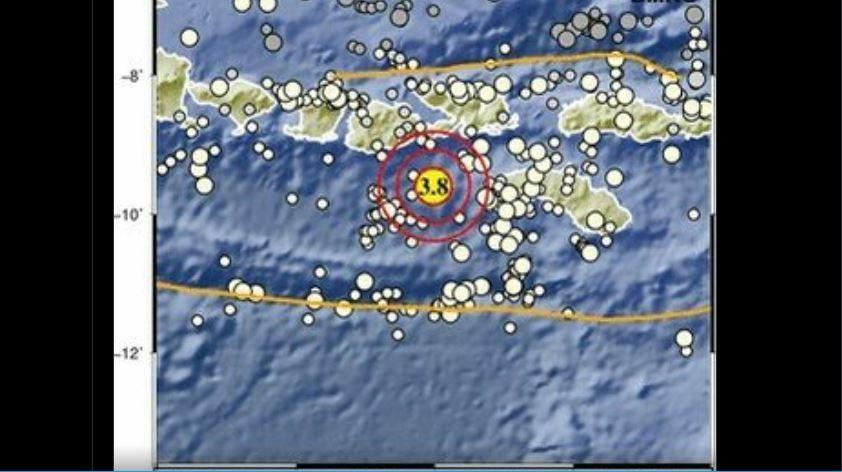 Terjadi Gempa Bumi Magnitudo 3,8 di Kodi, Nusa Tenggara Timur pada Rabu 8 Juli 2026 - Tribunmanado.co.id