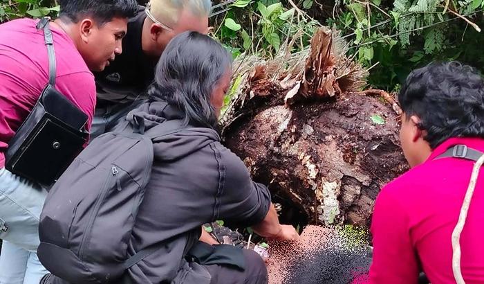 Identitas-2-korban-yang-meninggal-tertimpa-pohon-tumbang-di-Ratatotok-Mitra.jpg