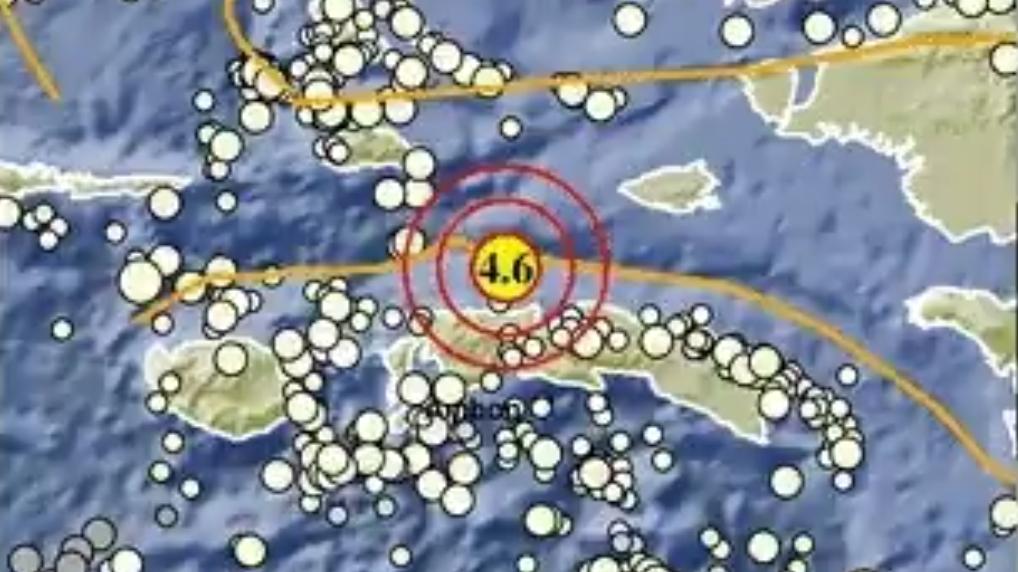 Gempa Bumi Terkini di Maluku Sabtu 11 Juli 2026, Berikut Info BMKG - Tribunmanado.co.id