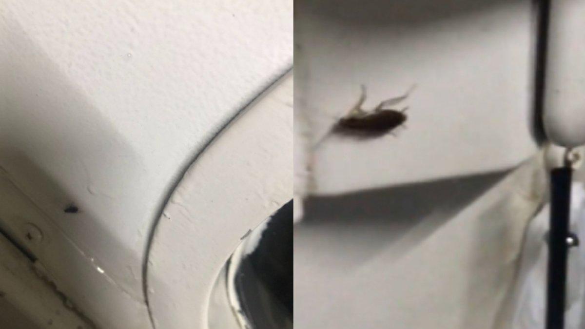 Viral Banyak Kecoa di Dalam Kereta Api, Penumpang Heboh dan Akui Parno: Tolong Banget Geli