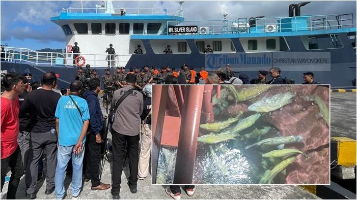 Kapal-ikan-MV-Silver-Island-ditangkap-KP-Orca-04-di-perairan-Sulawesi-Indonesia.jpg
