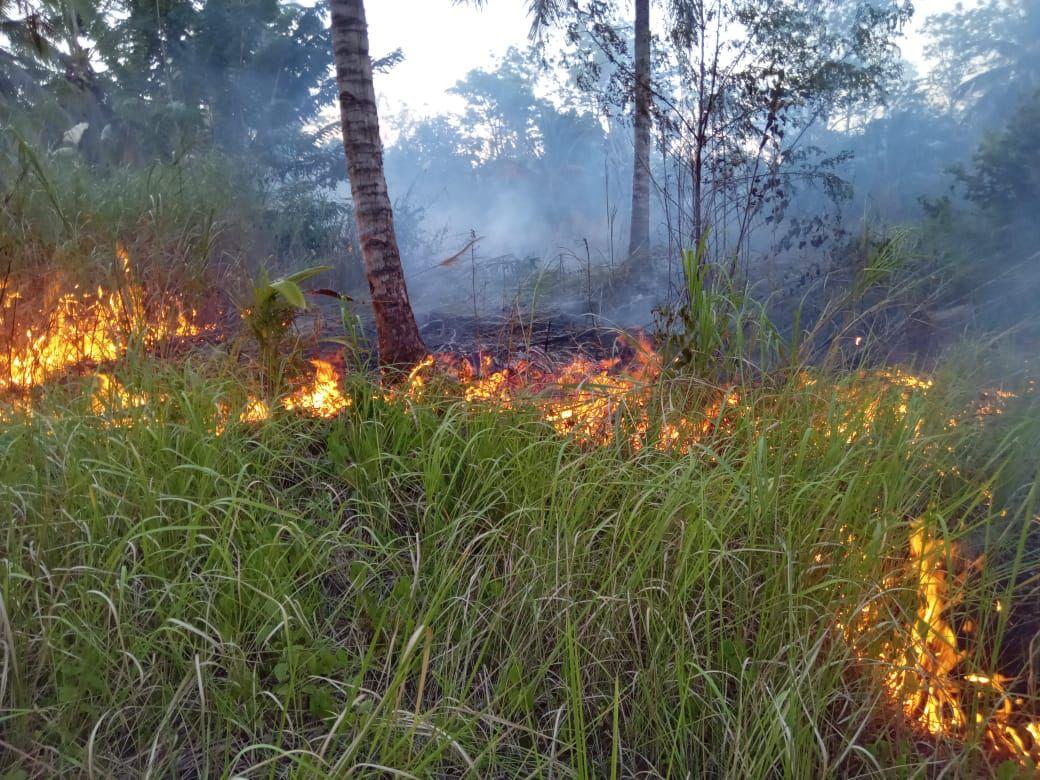 Kebakaran-di-Taman-Wisata-Alam-TWA-Batuangus-Kelurahan-Kasawari7.jpg