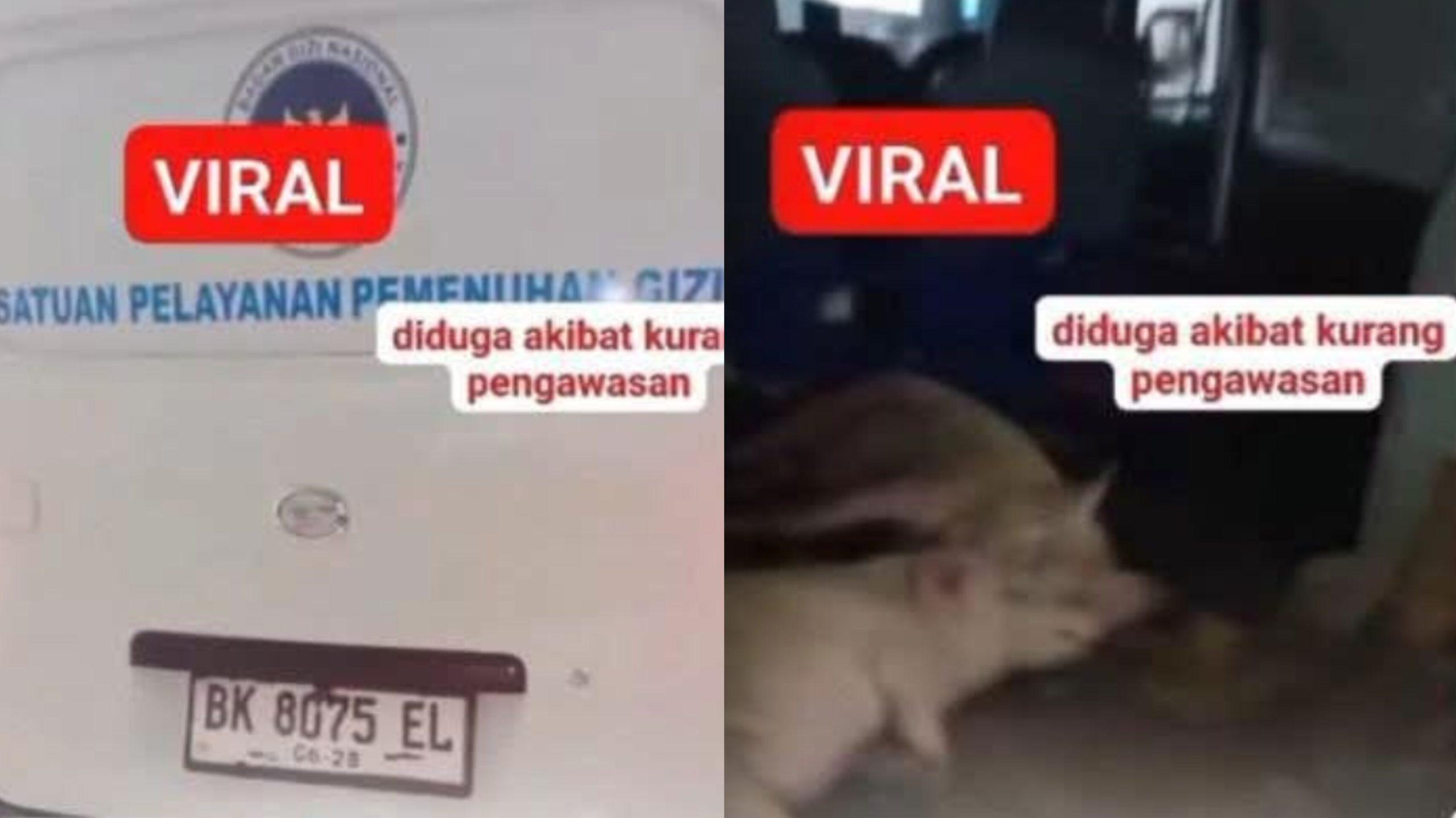 Kolase-mobil-berstiker-pengantar-Makanan-Bergizi-Gratis-MBG-di-Kabupaten-Nias-Selatan.jpg