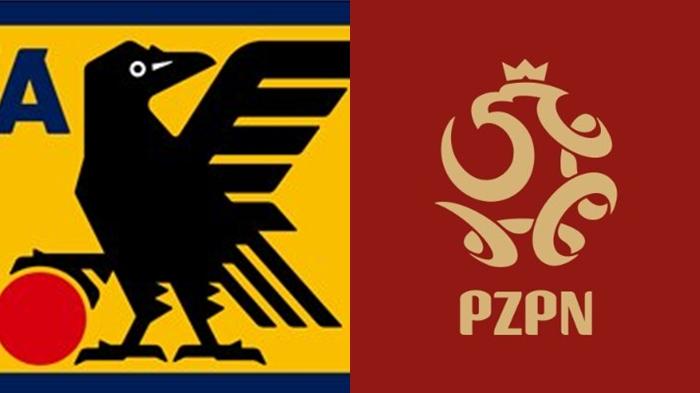 Laga-Jepang-vs-Polandia-di-Piala-Dunia-U17-berlangsung-di-Stadion-Si-Jalak-Harupat.jpg