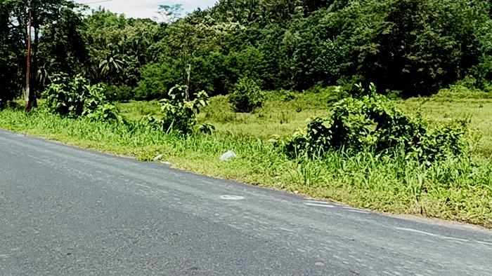 Kecelakaan Maut di Minut Sulawesi Utara, Seorang Pemotor Tewas, Tabrakan Motor dengan Mobil