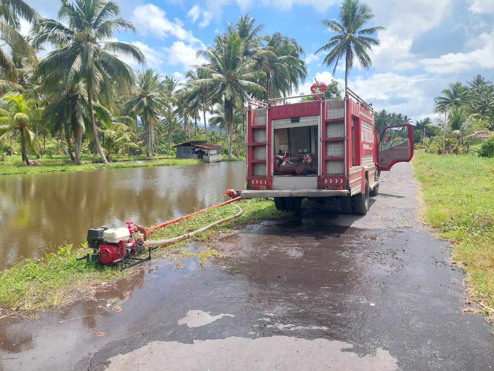 Kronologi Rumah Panggung di Minut Sulut Terbakar, Damkar Duga Awal Mula Insiden dari Bakar Semut