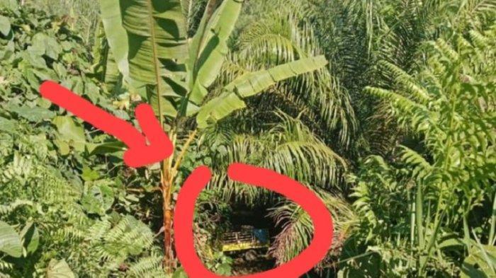 Kecelakaan Maut Hari Ini, Seorang Wanita Tewas, Mobil Pikap Terguling ke Jurang Kedalaman 20 Meter