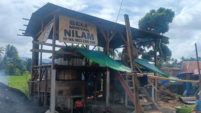 NILAM-Salah-satu-tempat-penjualan-minyak-nilam-di-Kabupaten-Bolaang-Mongondowlo-0.jpg
