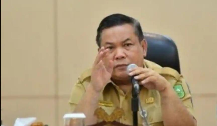 PLH-GUBERNUR-RIAU-Wakil-Gubernur-Riau-SF-Hariyanto.jpg
