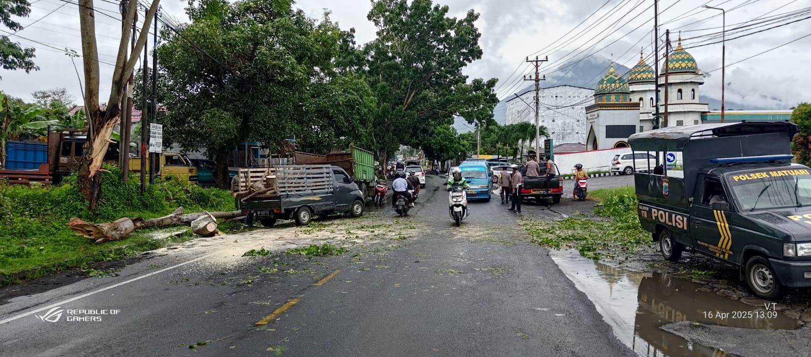 POHON-TUMBANG-Petugas-membersihkan-pohon-tumbang-di-depan.jpg