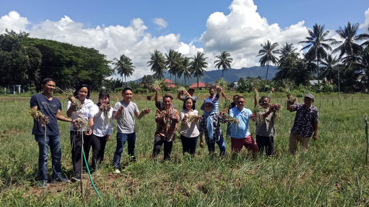 Panen-raya-bawang-merah-Kelompok-Tani-Berkah-di-Kelurahan-Pobundayangjjgjghj.jpg