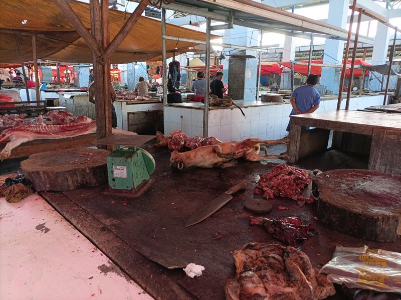 Kasus DBD Meningkat, Warga Sulawesi Utara Buru Kaki Anjing, Dipercaya Bisa Tambah Trombosit