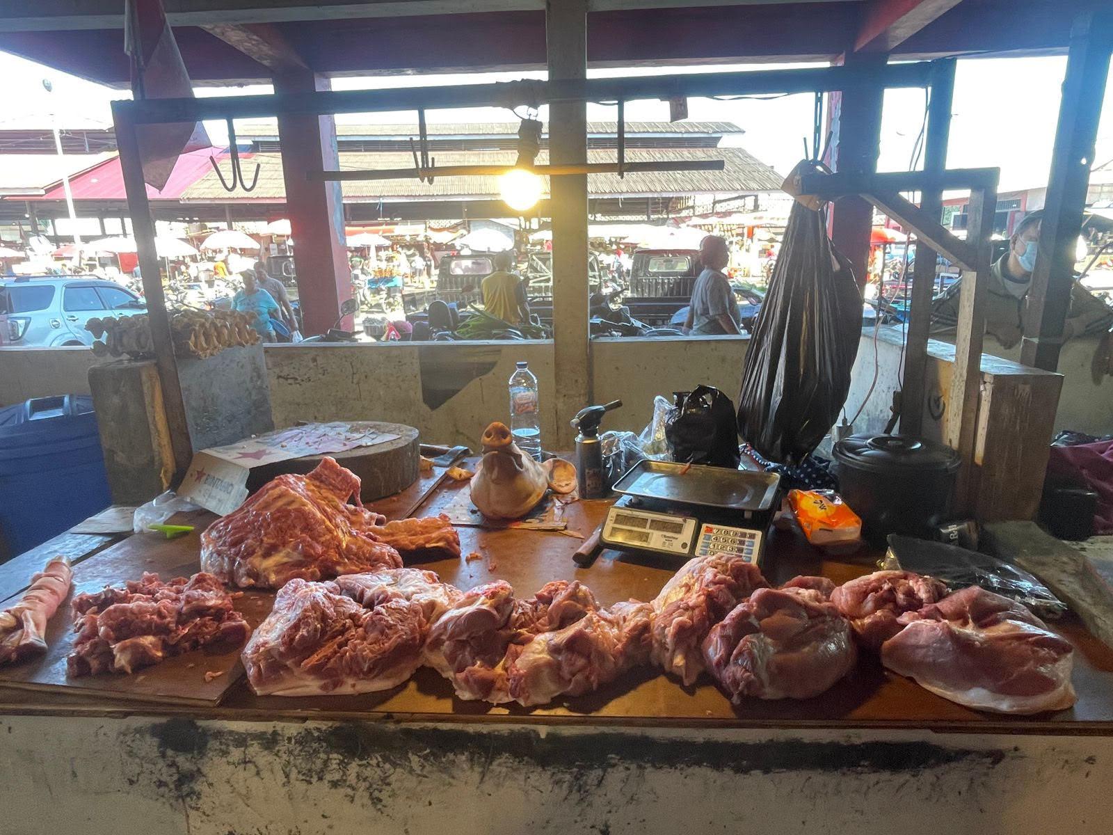 546 Bibit Babi Asal Denmark Tiba di Sulut, Ini Respon Pedagang di Pasar Tradisional - Tribunmanado.co.id