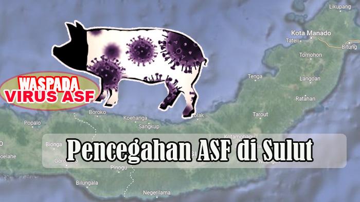 Pemprov Sulut Perketat Penjagaan di Perbatasan, Antisipasi Masuknya Virus ASF, Penyakit pada Babi