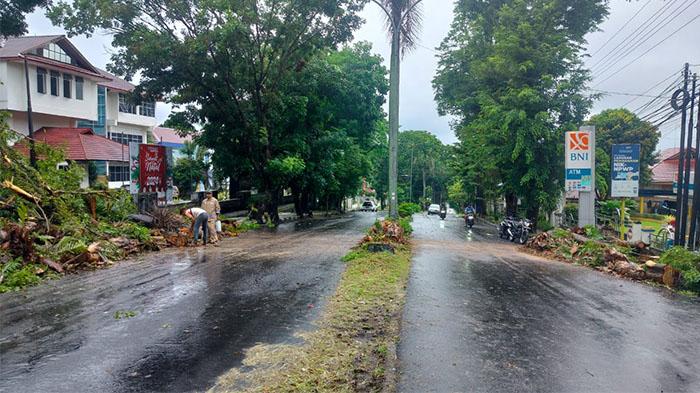 Petugas-dari-DLH-Sulut-bersama-TNI-yang-membersihkan-pohon-tumbang-di-jalan-17-Agustus.jpg