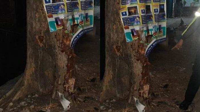 Kecelakaan Maut, 2 Orang Tewas, Motor Oleng Lalu Korban Jatuh Tabrak Pohon