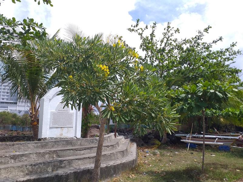 Pohon Tabebuya di God Bless Park Manado Sulawesi Utara Layu, Warga: Sama Seperti Pohon Lain