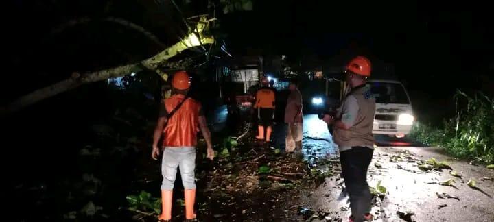 Pohon-Tumbang-di-Jalan-Airmadidi-menuju-Tondano-tepatnya-di-wilayah-Desa-Tanggari.jpg