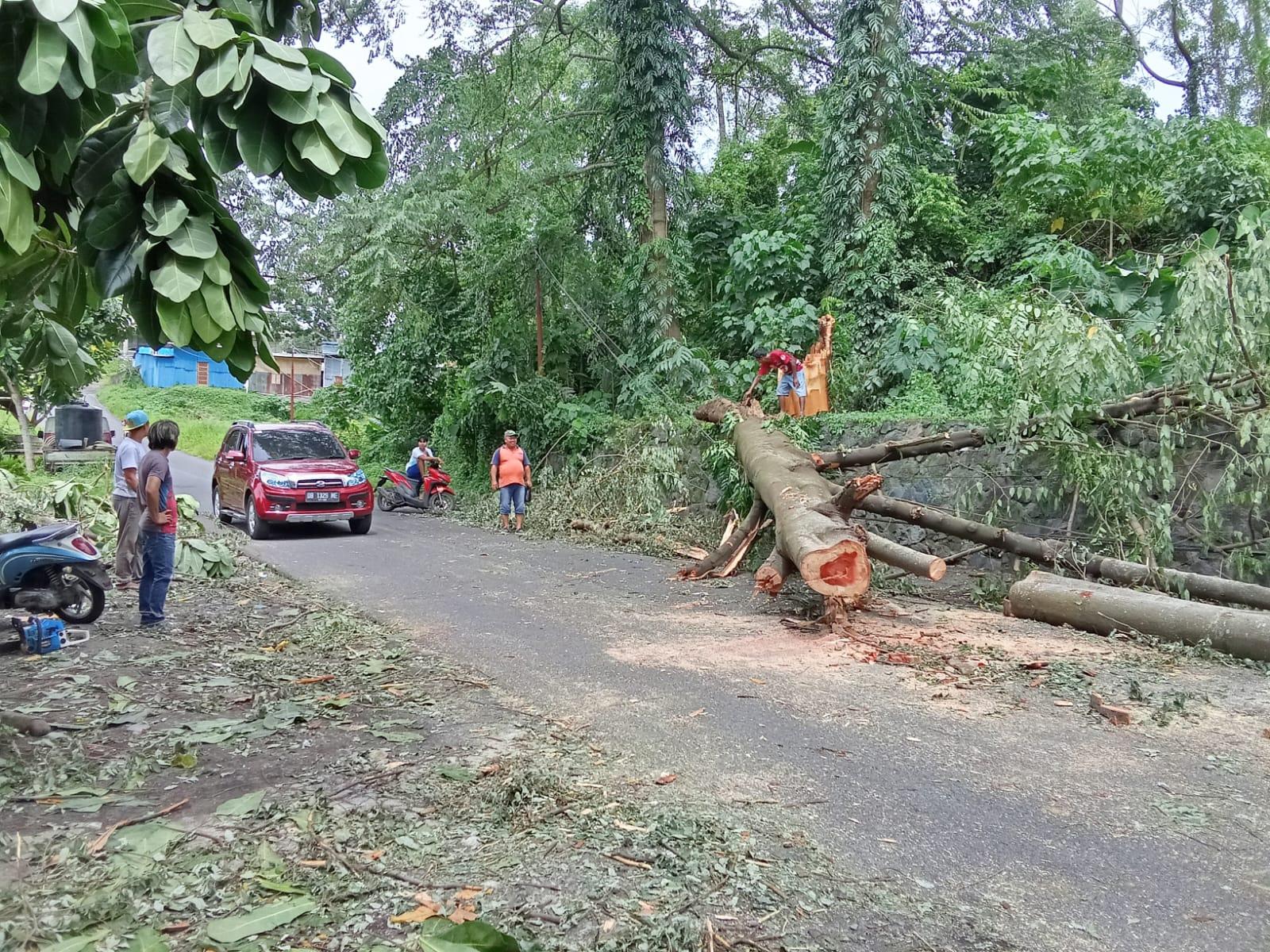 Pohon-roboh-di-jalan-menuju-Perum-Bimoli-Kelurahan-Girian-Indah-Kecamatan-Girian.jpg