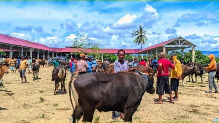 Potret-pasar-hewan-di-Kecamatan-Limboto-Kabupaten-Gorontalo-Rabu-1772024.jpg