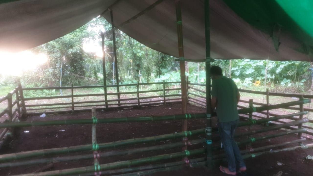 SABUNG-AYAM-Lokasi-judi-sabung-ayam-yang-diungkap-Polres.jpg