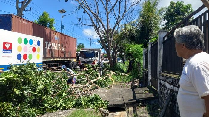 Truk Kontainer Senggol Pohon, Ranting Besar Timpa Kabel Listrik dan Jalan Macet di Watudambo Minut