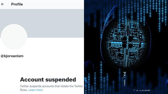 Siapa Sangka, Kini Akun Twitter Hacker Bjorka Kena Suspended, Warganet Minta di Kembalikan