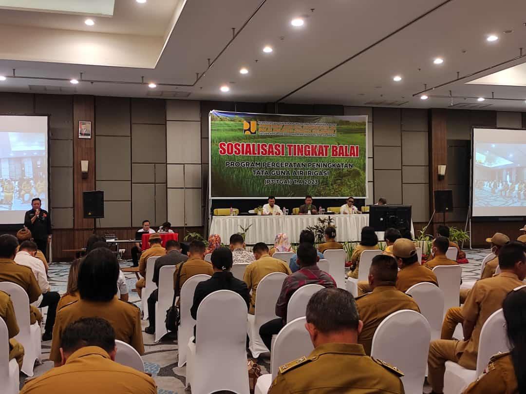 Sosialisasi-Tingkat-Balai-Program-Percepatan-Peningkatan-Tata-Guna-Air-Irigasi-P3TGAI.jpg