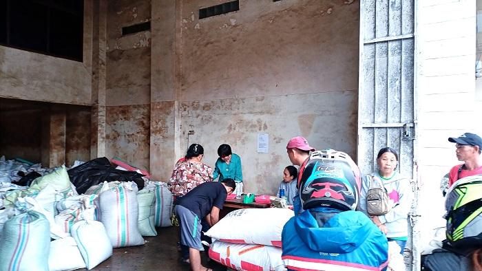 Petani Cengkeh Menjerit, Harga Cengkeh di Minahasa Sulut Turun Drastis Rp 82 Ribu Per Kilogram