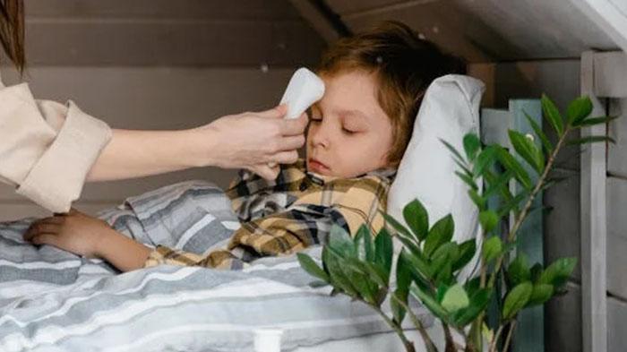 Tanda Penyakit DBD Sudah Menyerang Tubuh, Tetap Waspada, Simak Penjelasan Ahli