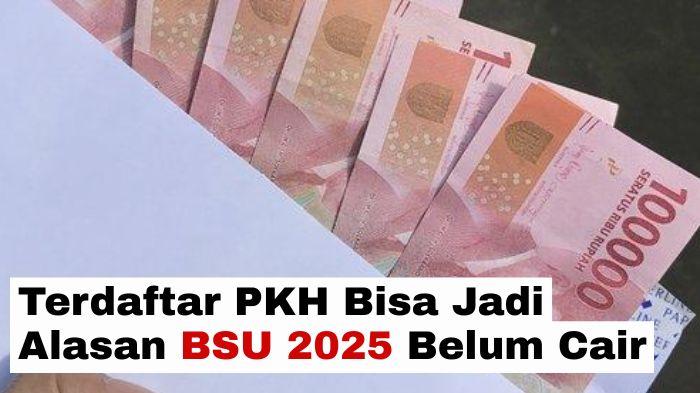 Cek Namamu, Jika Terdaftar PKH Bisa Jadi Alasan BSU 2025 Belum Cair