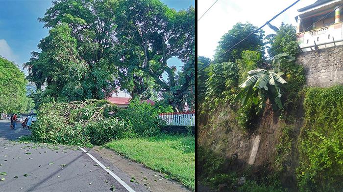 Terjadi-tanah-longsor-dan-pohon-tumbang-di-Kota-Bitung.jpg
