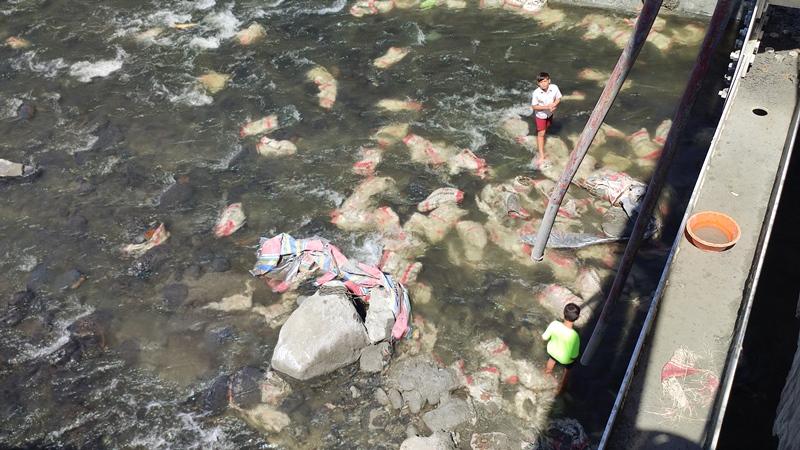 Truk Tabrak Jembatan Ranowangko di Minahasa Sulawesi Utara, Ratusan Semen Jatuh ke Sungai