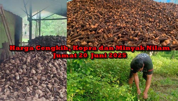 Update-harga-cengkih-kopra-dan-minyak-nilam-di-Sulawesi-Utar.jpg