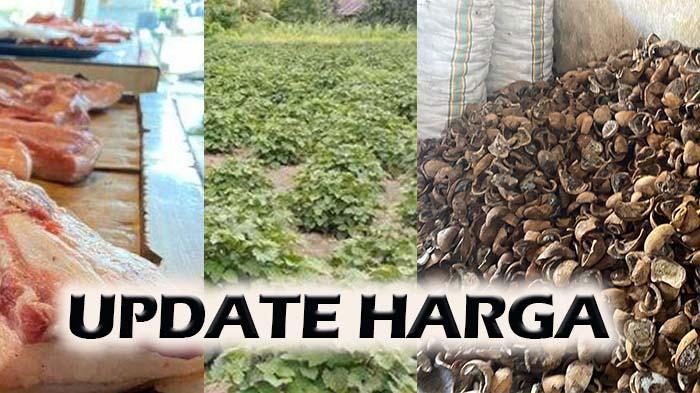 Update-harga-terbaru-Nilam-Kopra-dan-Daging-Babi.jpg