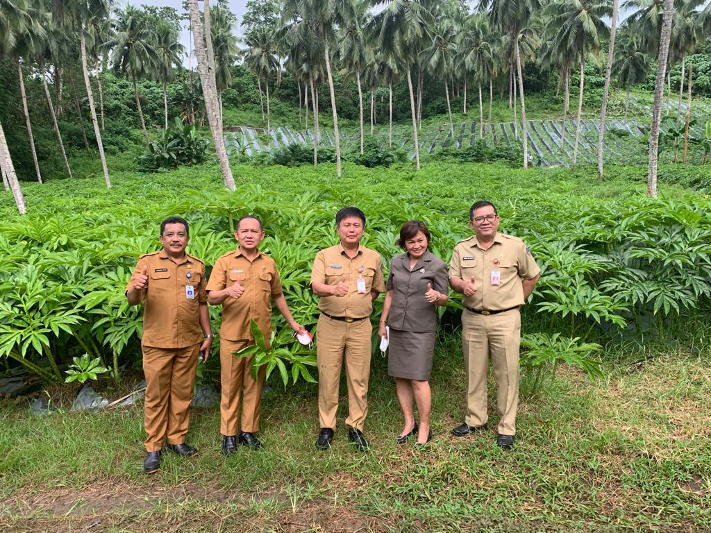 anaman-porang-ditinjau-provinsi-dan-dinas-pertanian-minut-sumber-foto-kadis-pertanian-minuthbfh.jpg