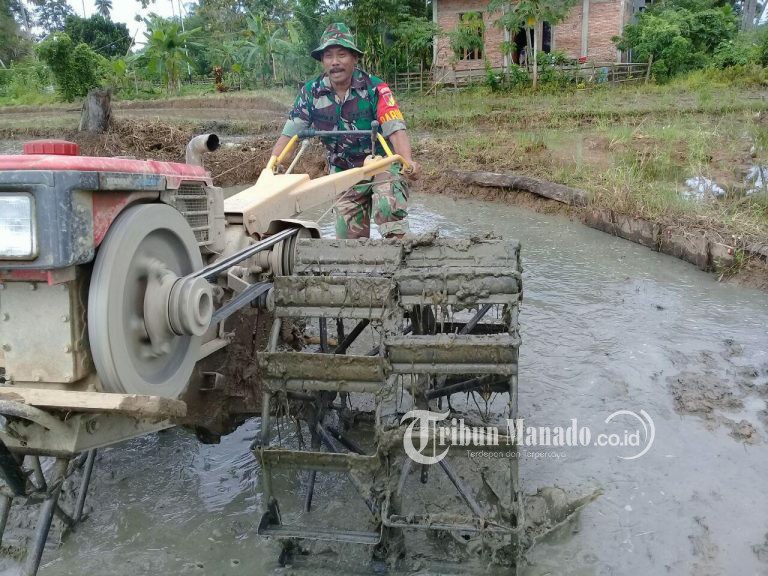 KISAH TNI Baku Tembak dengan KKB Papua, Sebelum Menyerang Komandan Mimpi Lumpur dan Pohon Besar