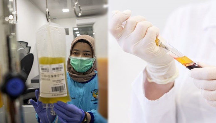 apa-itu-terapi-plasma-konvalesen.jpg