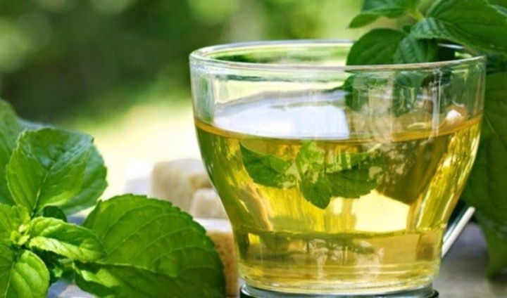 Jangan Konsumsi Daun Mint Jika Dalam Kondisi Seperti Ini, Bisa Fatal Akibatnya