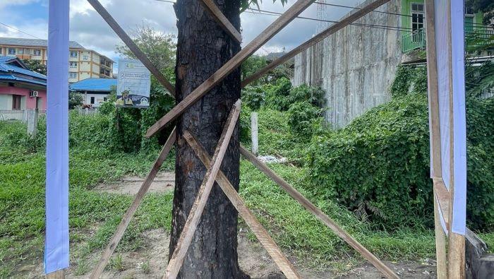 Kelakuan Caleg di Kota Bitung Sulawesi Utara, Pasang Baliho di Pohon, Tiang Listrik dan Lampu Jalan