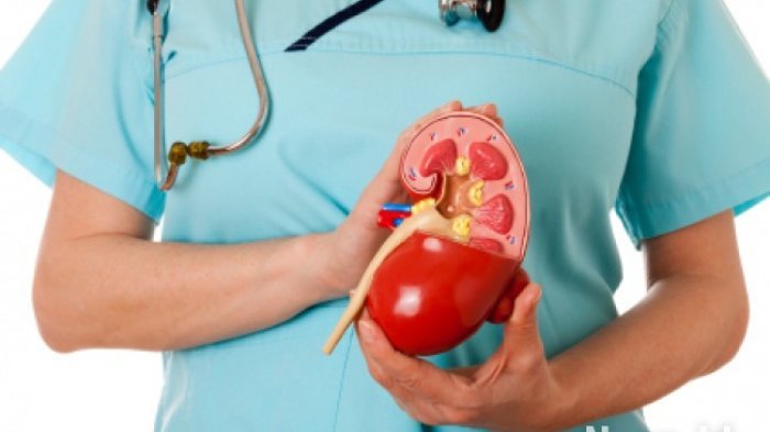 Patut Diwaspadai, Inilah Daftar Makanan yang Jadi Penyebab Batu Ginjal