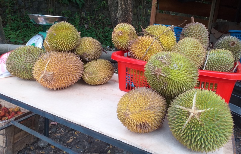 Modus Baru Peredaran Narkoba di Gorontalo Pakai Buah Durian, Polisi Amankan Empat Tersangka