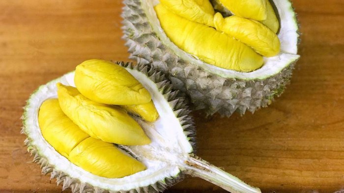 Belum Banyak yang Tahu Manfaat Buah Durian, Bisa Menjaga Kesehatan Tulang dan Gigi