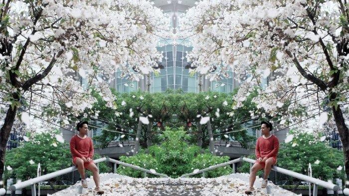 Bunga Tabebuya, Bawa Sensasi Jepang di Lolak Bolmong