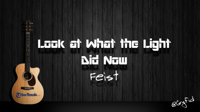 Chord Look at What the Light Did Now - Feist