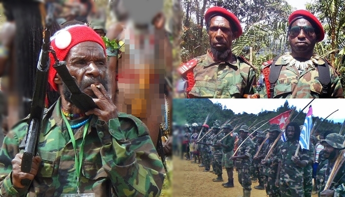 Nama-nama Pimpinan TPNPB-OPM, Panglima Tinggi hingga Pangdap, Didominasi Tabuni Cs, Ada Lekagak