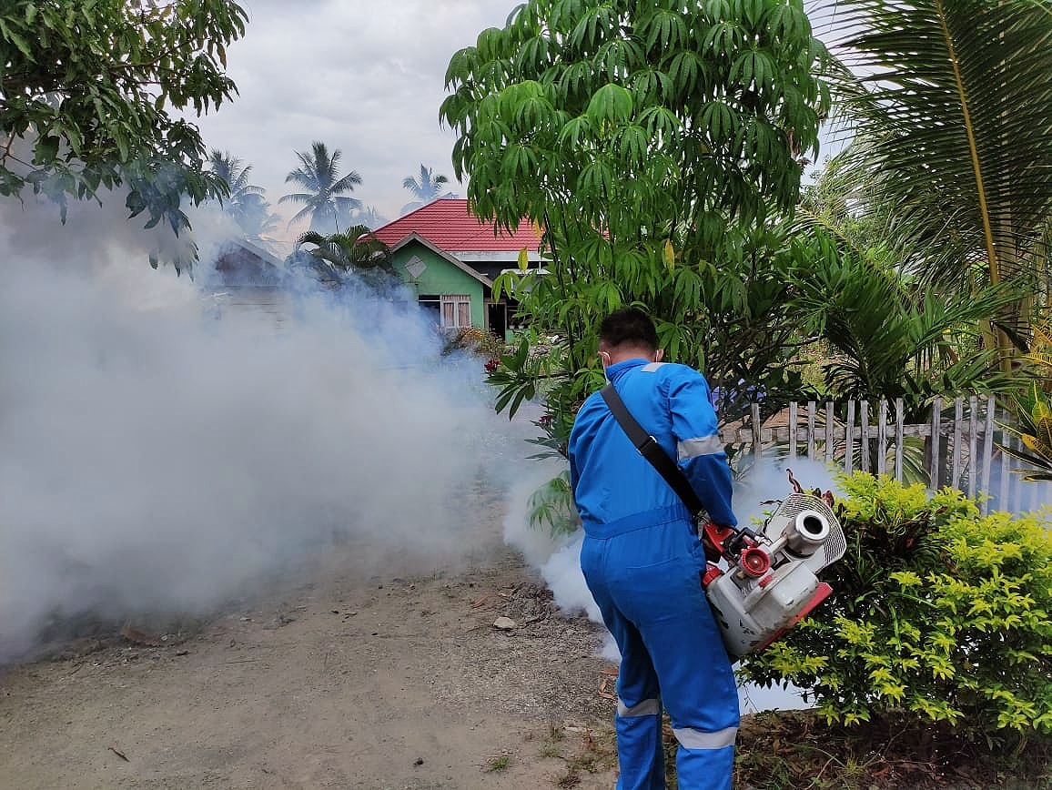 Fogging Tak Boleh Digunakan untuk Mencegah Kasus DBD, Ini Penjelasan Kepala Dinkes Manado