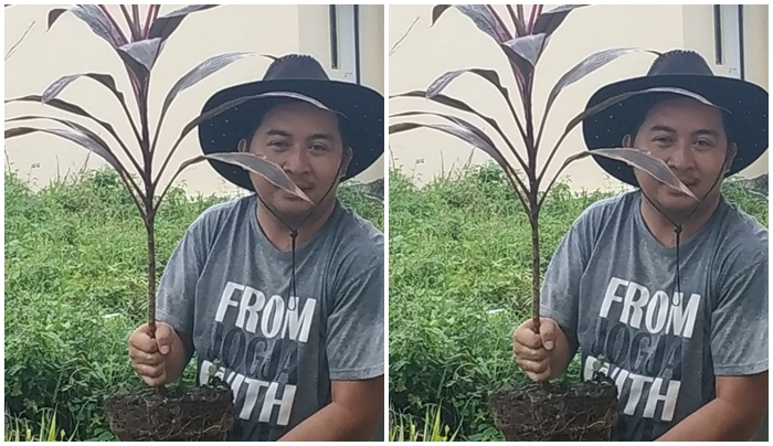 Peringatan Hari Bumi, Walhi Singgung TPA Sumompo dan Proyek Insinerator